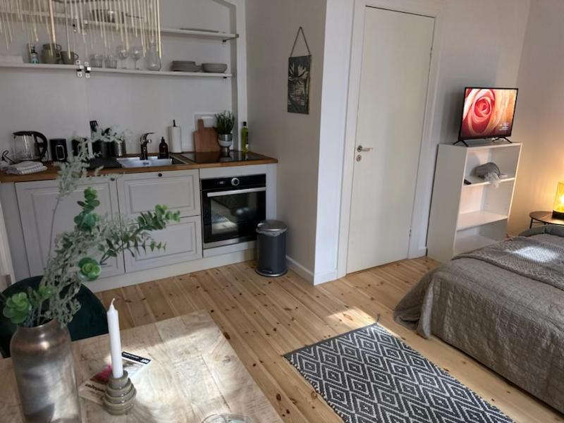 Fantastic Studio Apartment โคเปนเฮเกน ภายนอก รูปภาพ